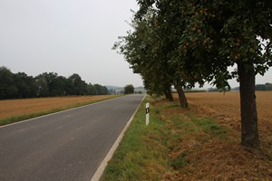 30-08-2024, Appelbomen langs de K10.