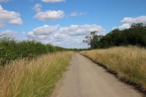 03-07-2025, Smalle weg, hoog gras in de bermen